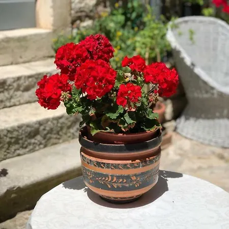 Monte B. Exclusive Rovinj