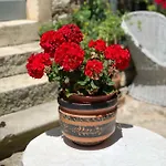 Monte B. Exclusive Rovinj